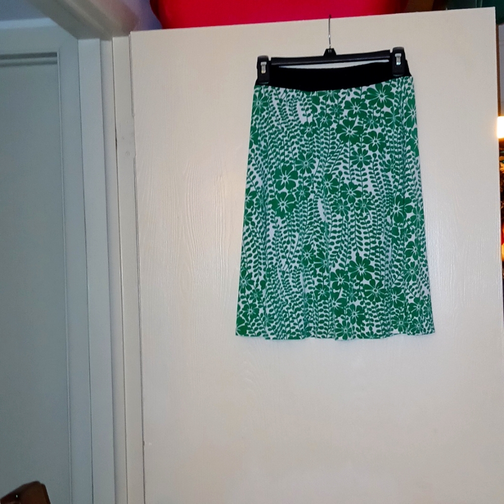 Wet Seal Skirt